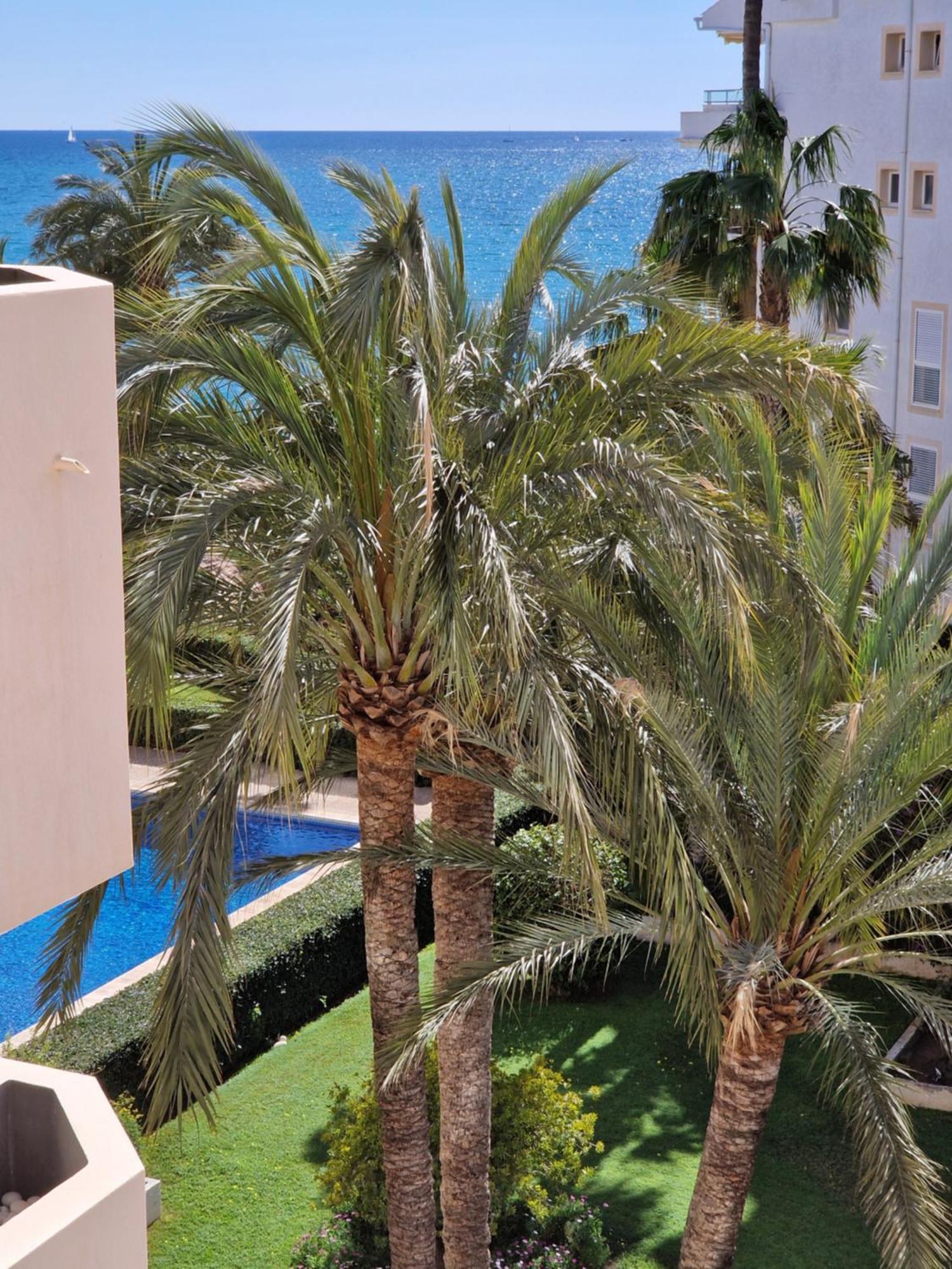 Azul - Estudio Con Vistas Al Mar, Piscina Y Acceso Directo A La Playa By Redi Altea Eksteriør billede